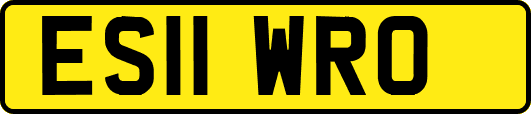 ES11WRO