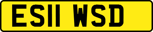 ES11WSD