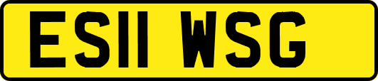 ES11WSG