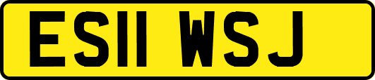 ES11WSJ