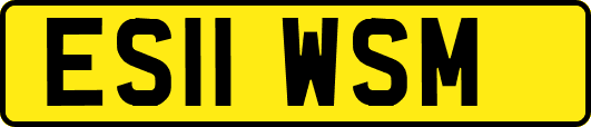 ES11WSM
