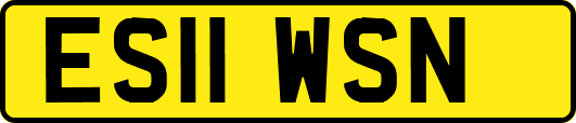 ES11WSN