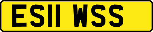 ES11WSS