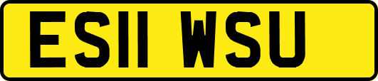 ES11WSU