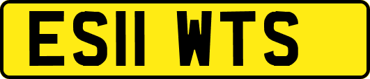 ES11WTS