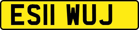 ES11WUJ