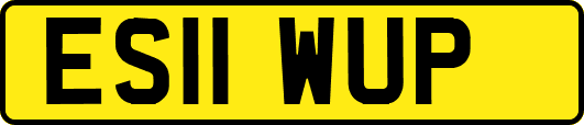 ES11WUP