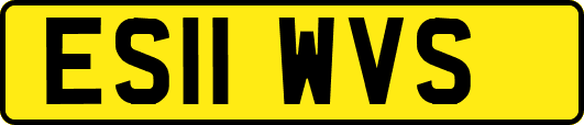 ES11WVS