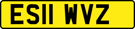 ES11WVZ