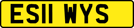 ES11WYS
