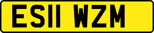 ES11WZM