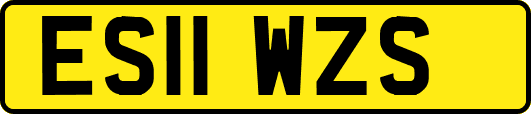 ES11WZS