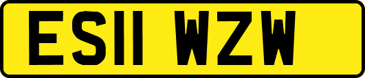 ES11WZW