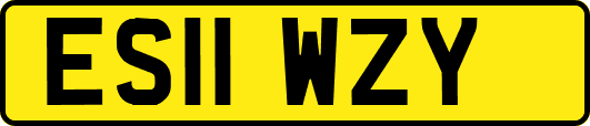 ES11WZY