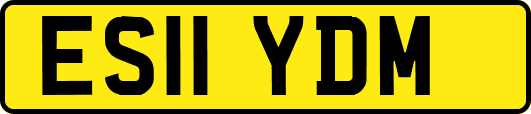 ES11YDM