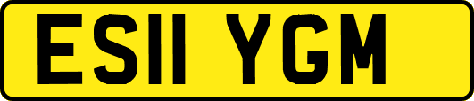 ES11YGM