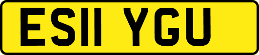 ES11YGU