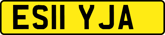 ES11YJA