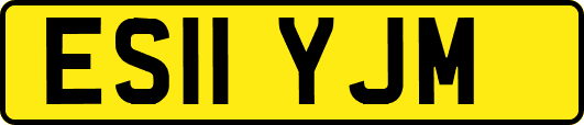 ES11YJM