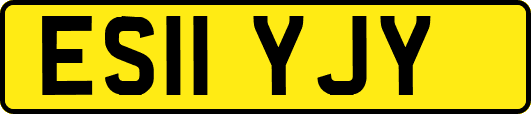 ES11YJY