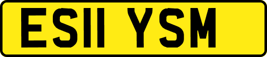 ES11YSM