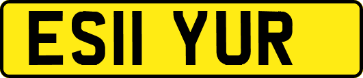 ES11YUR