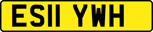 ES11YWH