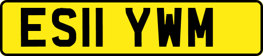 ES11YWM