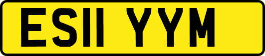 ES11YYM
