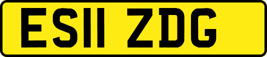ES11ZDG