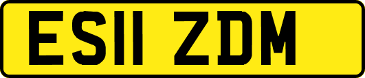 ES11ZDM