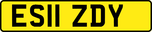 ES11ZDY