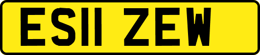 ES11ZEW