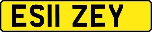 ES11ZEY