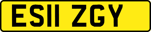 ES11ZGY