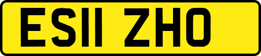 ES11ZHO