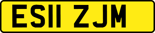 ES11ZJM