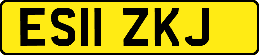 ES11ZKJ