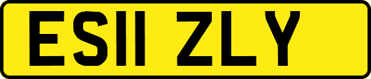 ES11ZLY