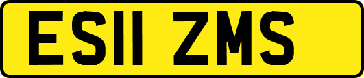 ES11ZMS