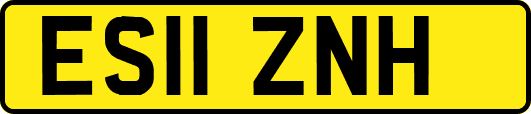 ES11ZNH