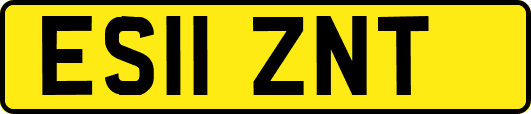 ES11ZNT