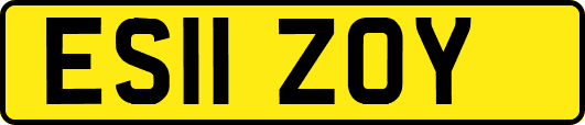ES11ZOY