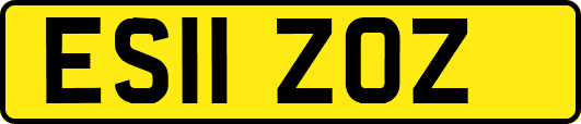 ES11ZOZ