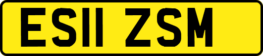 ES11ZSM