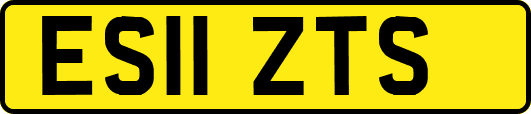 ES11ZTS