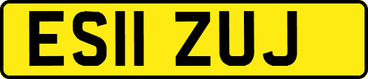 ES11ZUJ