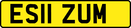 ES11ZUM