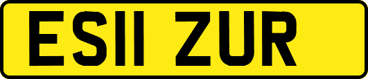 ES11ZUR