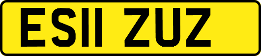 ES11ZUZ